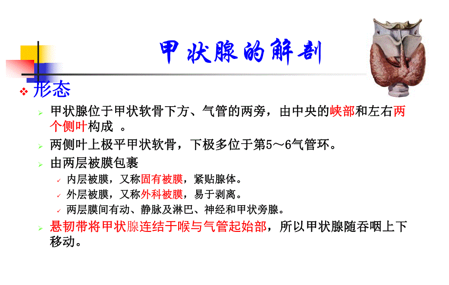 甲状腺肿.ppt_第2页