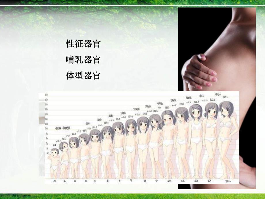 急性乳腺炎.ppt_第2页