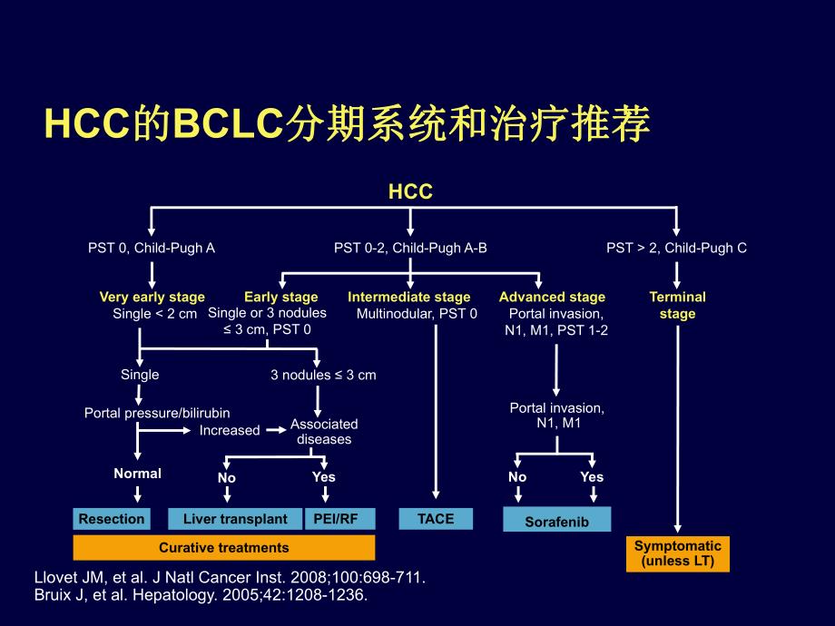 肝癌综合治疗.ppt_第3页