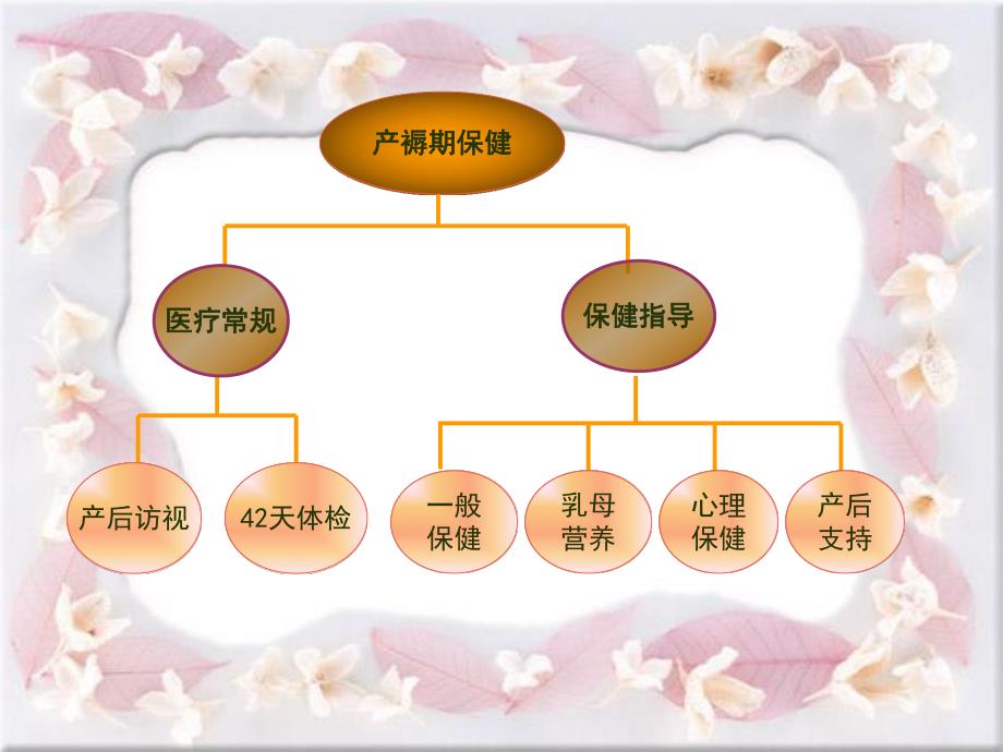 产褥期保健的适宜.ppt_第3页