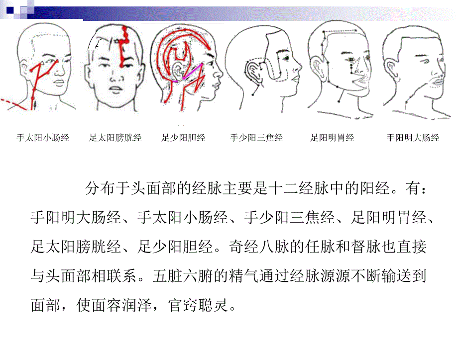 头面部穴位.ppt.ppt_第3页