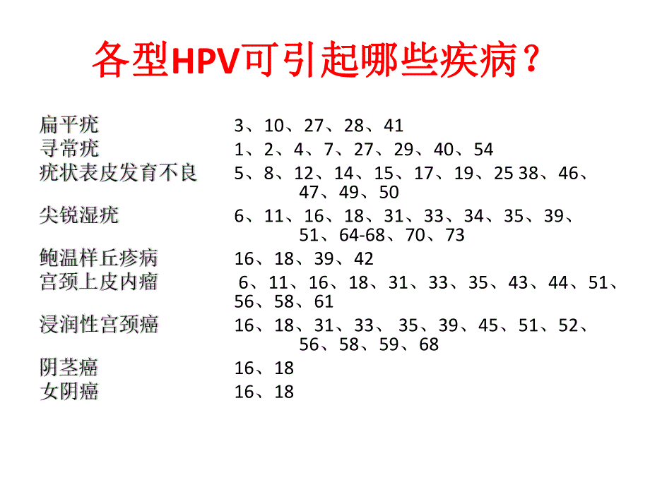 23分型与HC2检测HPV的比较.ppt_第3页