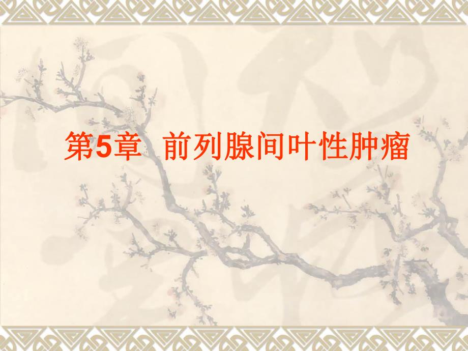 前列腺间叶性肿瘤.ppt_第1页