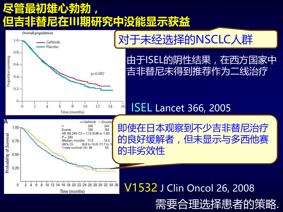 EGFR基因突变状态指导下的NSCLC治疗.ppt_第2页