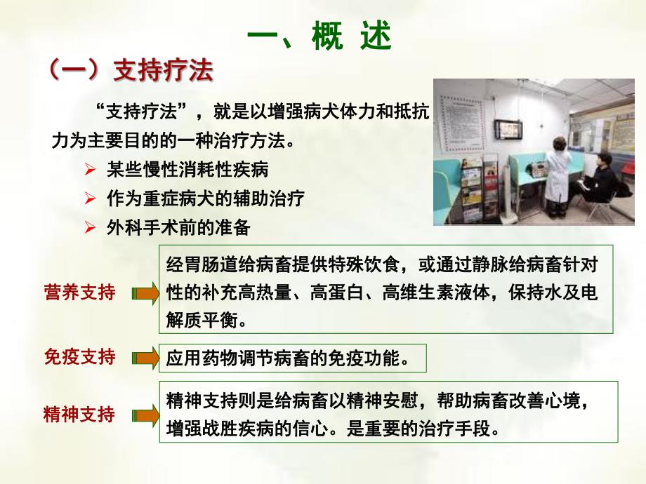 支持疗法在宠物临床中的应用.ppt_第3页