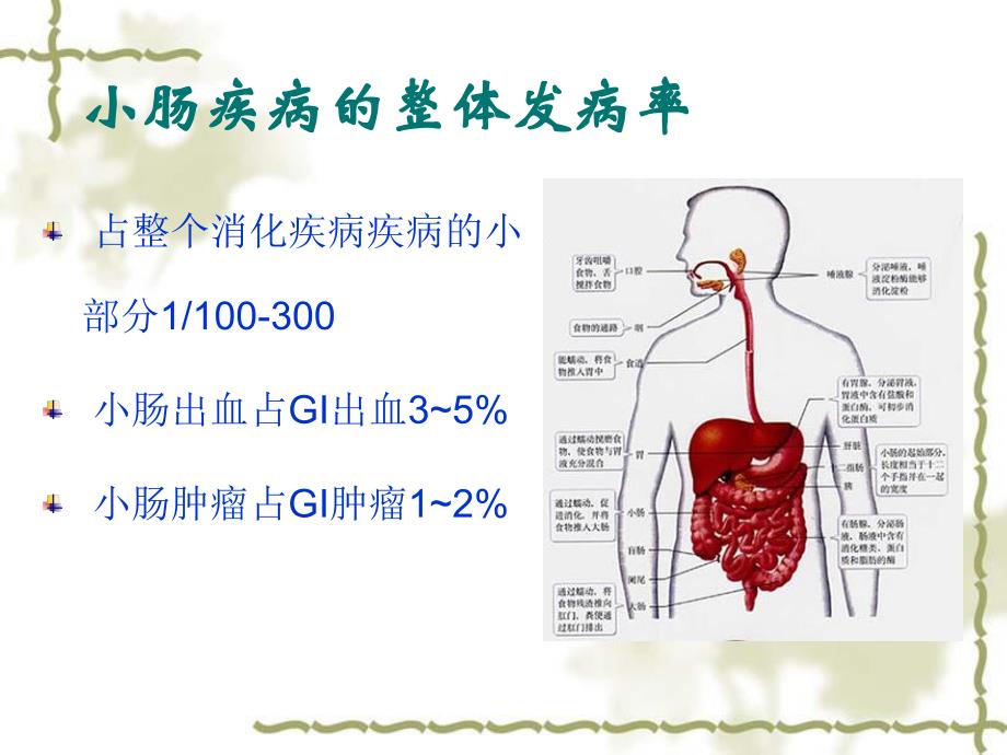 小肠疾病的诊断程序.ppt_第3页