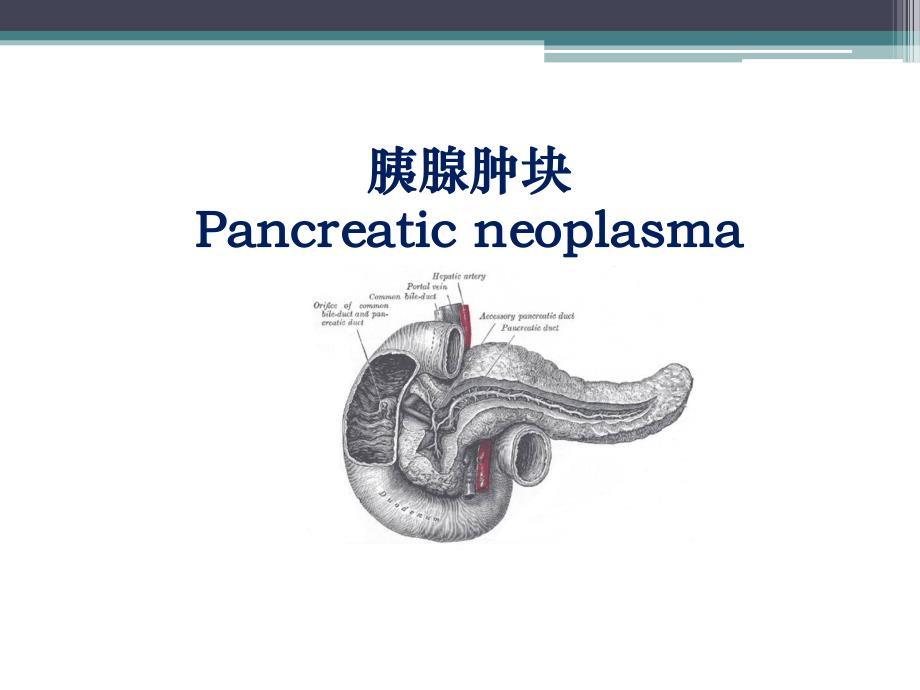 胰腺肿瘤.ppt.ppt_第1页