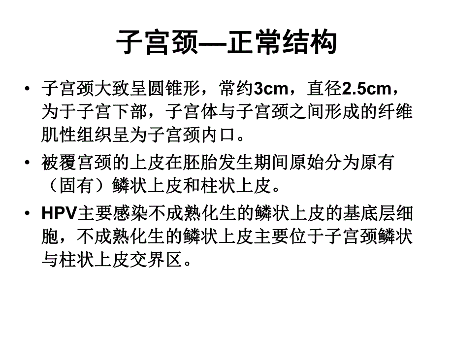 宫颈组织病理诊断.ppt_第2页