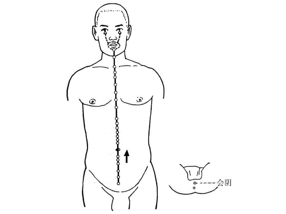 十二经脉及其腧穴(PPT78).ppt_第3页