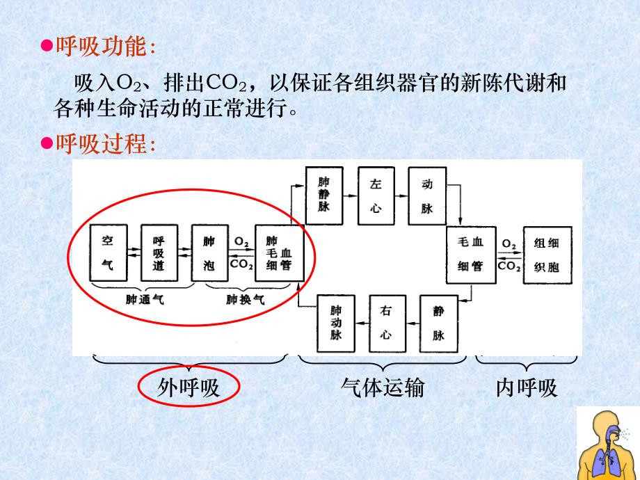 101呼吸衰竭.ppt_第3页