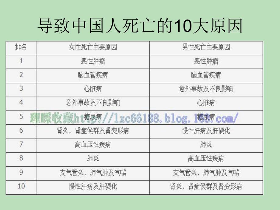 ppt细胞的癌变.ppt_第3页