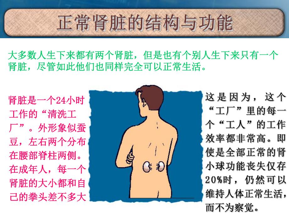 腹膜透析宣教与培训.ppt_第3页