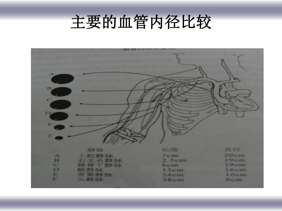 危重病人血管保护.ppt.ppt_第3页