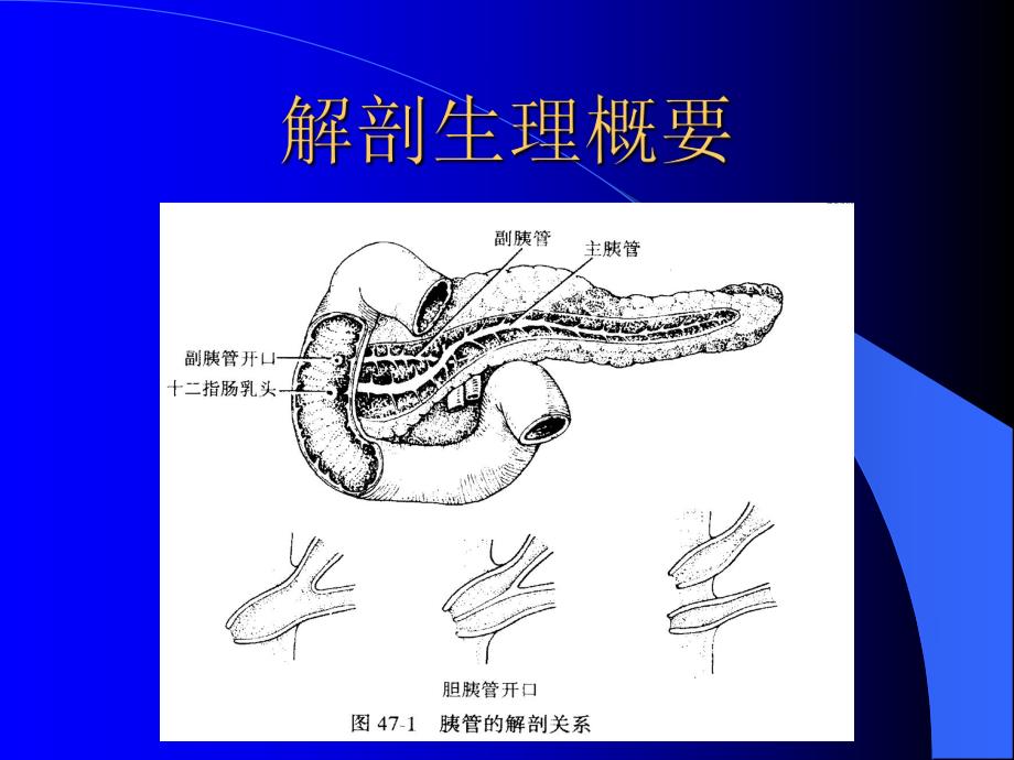 【医学课件大全】急性胰腺炎病人的护理.ppt.ppt_第2页