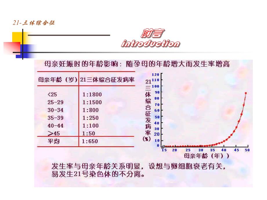 21－三体综合征.ppt_第3页