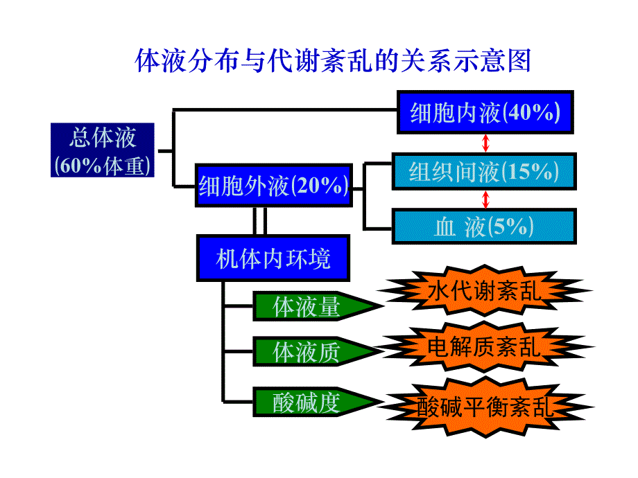 21脱水、水中毒.ppt_第2页