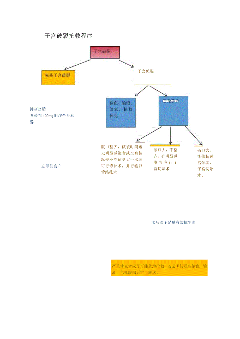 子宫破裂应急预案.docx_第2页