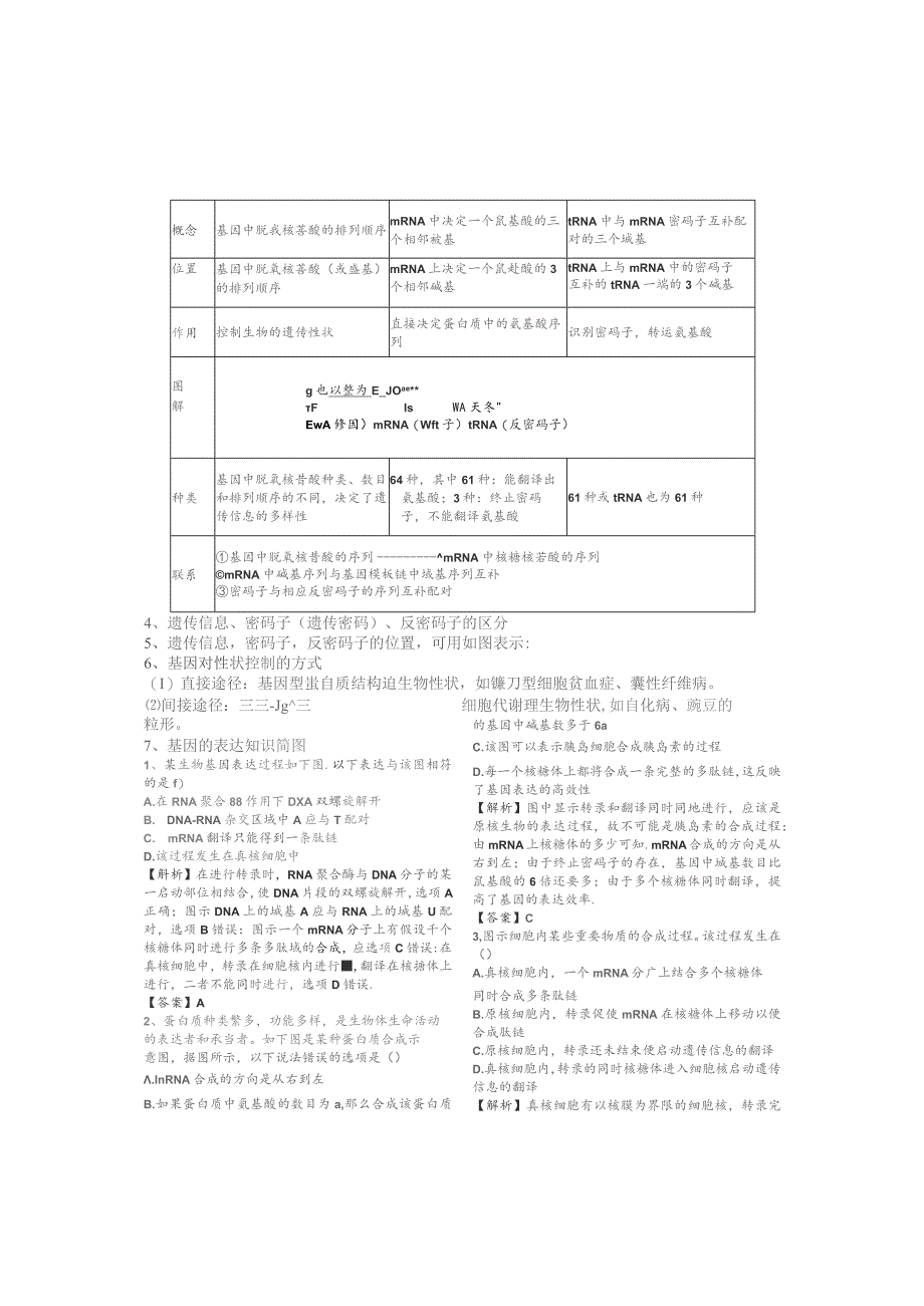 基因指导蛋白质的合成专题.docx_第2页