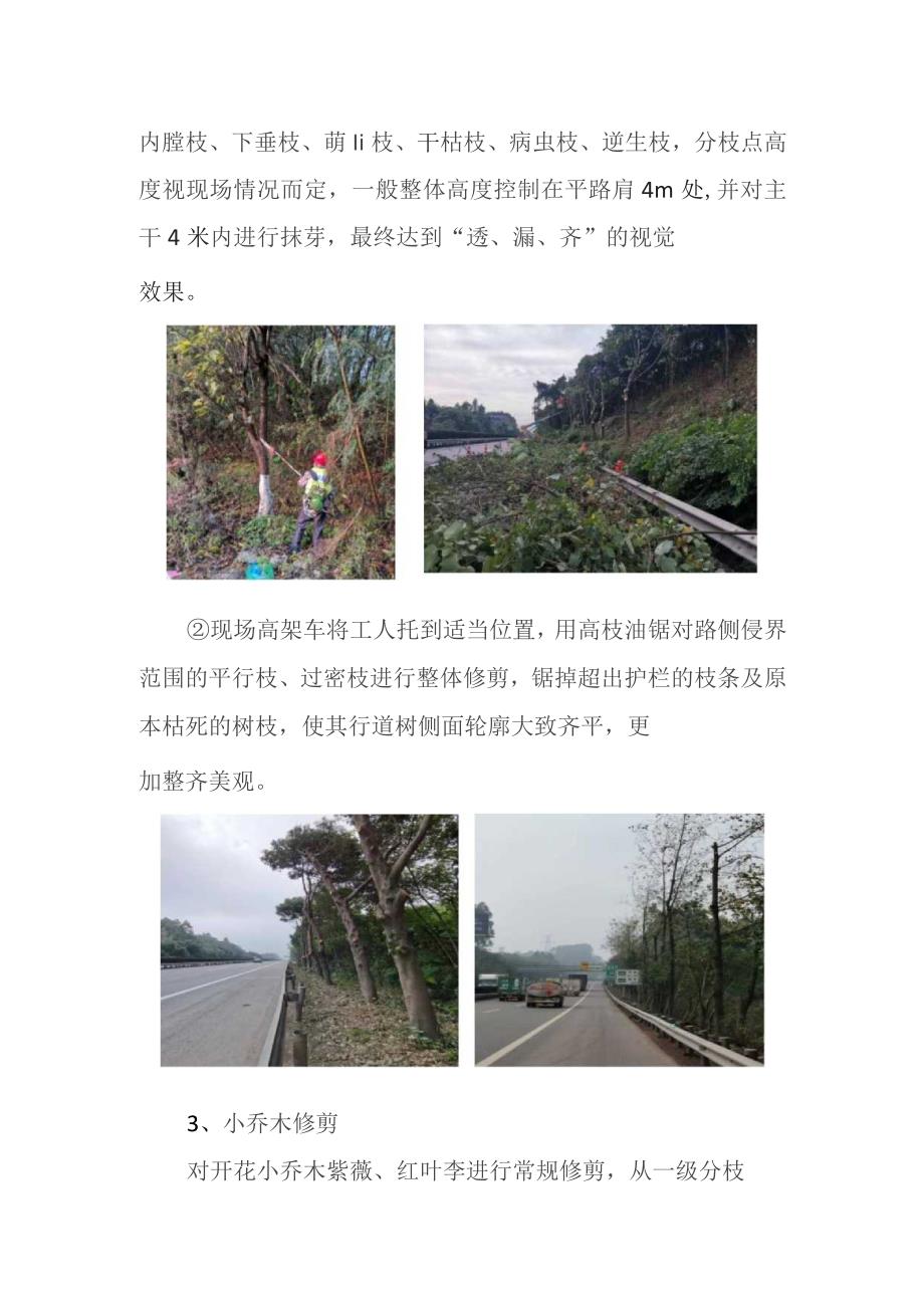 高速公路路侧行道树精修实施方案.docx_第3页