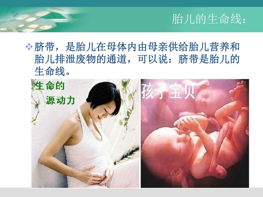 如何做好新生儿脐部护理.ppt_第3页