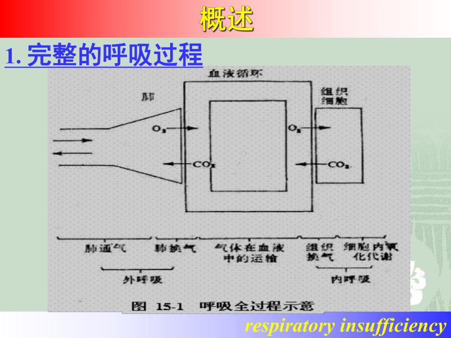 呼吸功能不全医学幻灯片.ppt_第2页