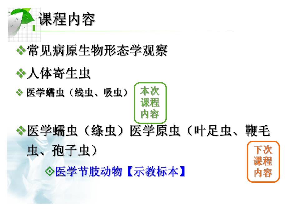 病原学形态观察.寄生虫.ppt_第2页