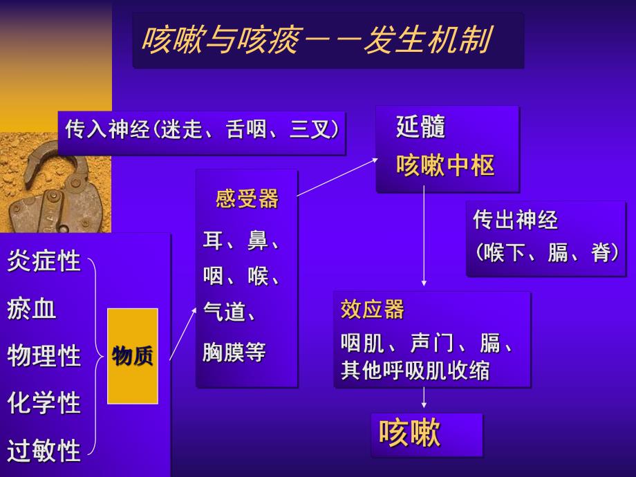 中国咳嗽诊治指南.ppt_第3页