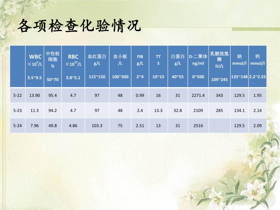 重症肺炎病人的护理查房.ppt_第3页