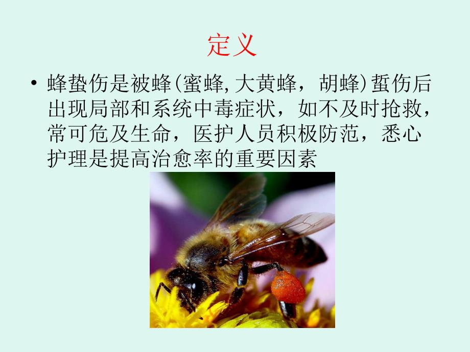 蜂蛰伤的紧急救治.ppt_第2页