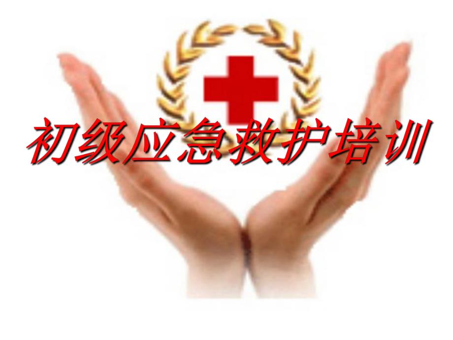 红十字会初级救护员培训心肺复苏讲稿PPT.ppt_第1页