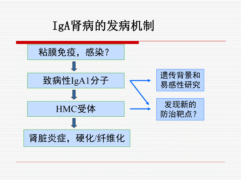 IgA肾病.ppt.ppt_第3页