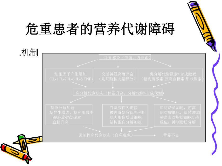 脓毒症与营养支持治疗.ppt_第3页