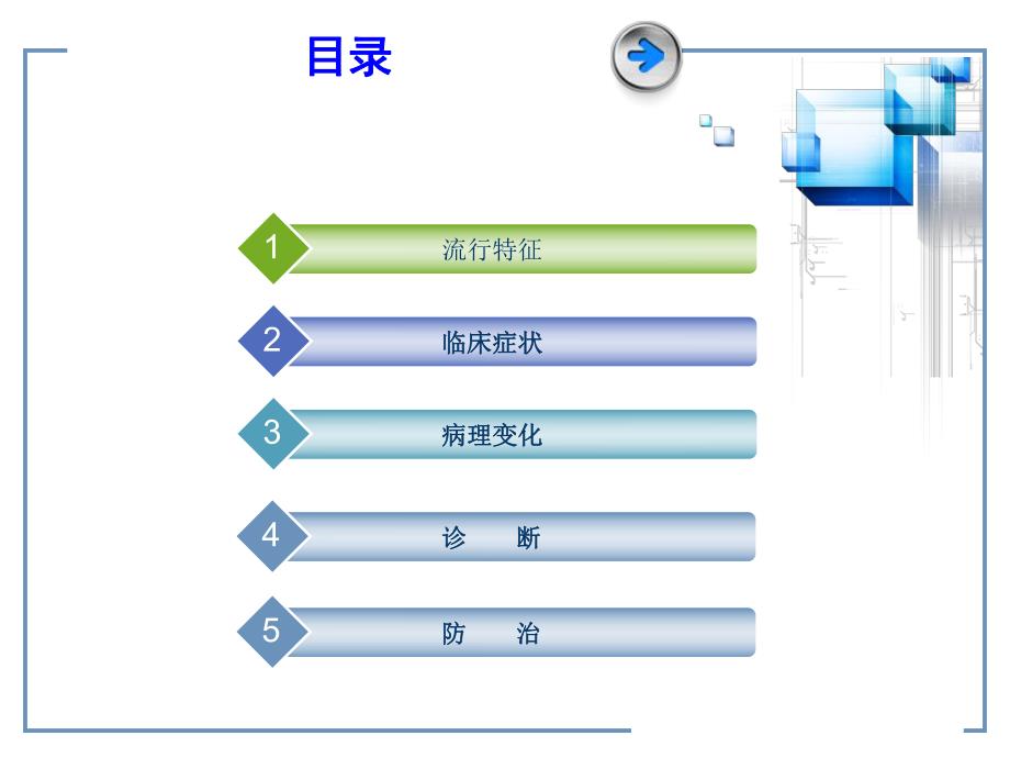 传染性支气管炎预防.ppt_第2页