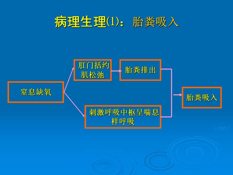 胎粪吸入综合征.ppt_第3页