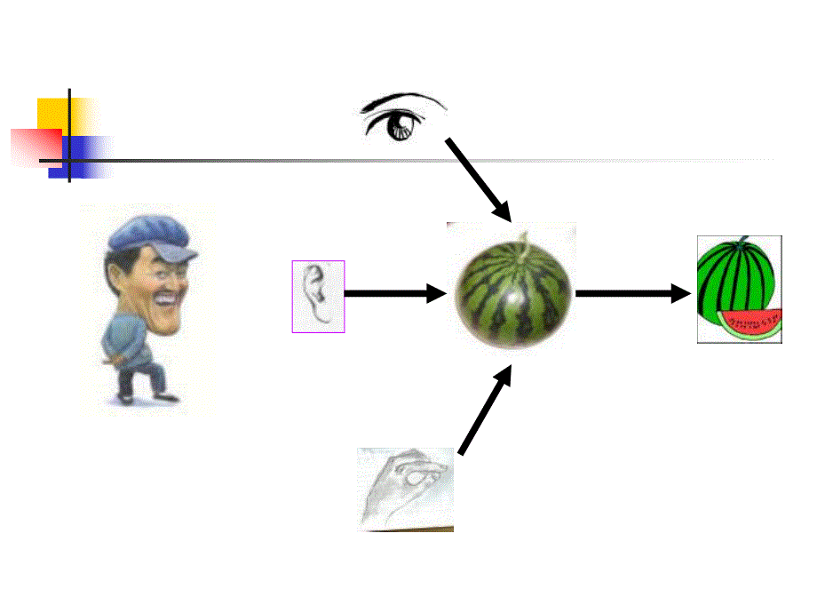 体格检查基本方法【ppt】 .ppt_第3页