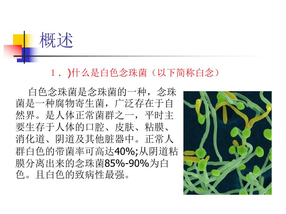 白色念珠菌快速鉴定培养药敏试剂.ppt_第3页