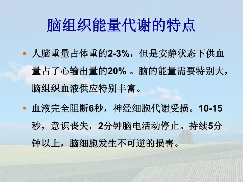 脑缺氧损害与脑保护.ppt_第2页