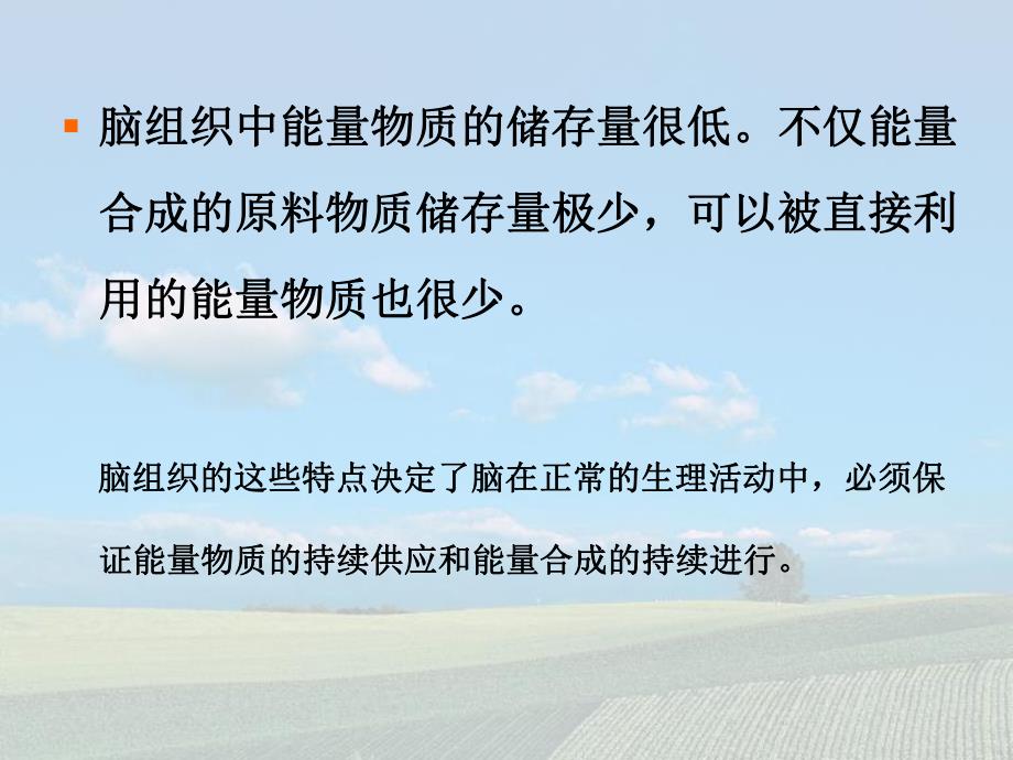 脑缺氧损害与脑保护.ppt_第3页