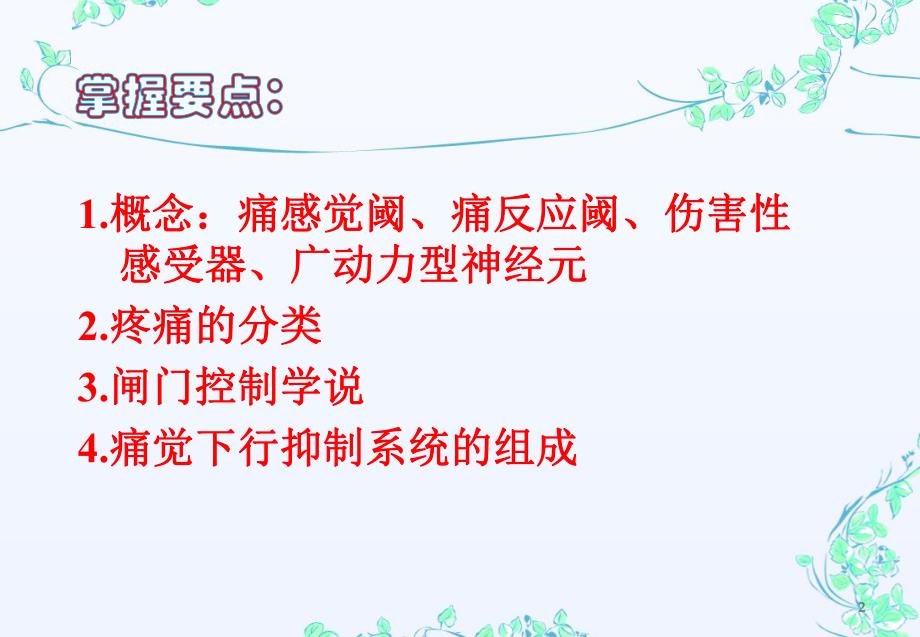 第十一章 痛觉.ppt_第2页