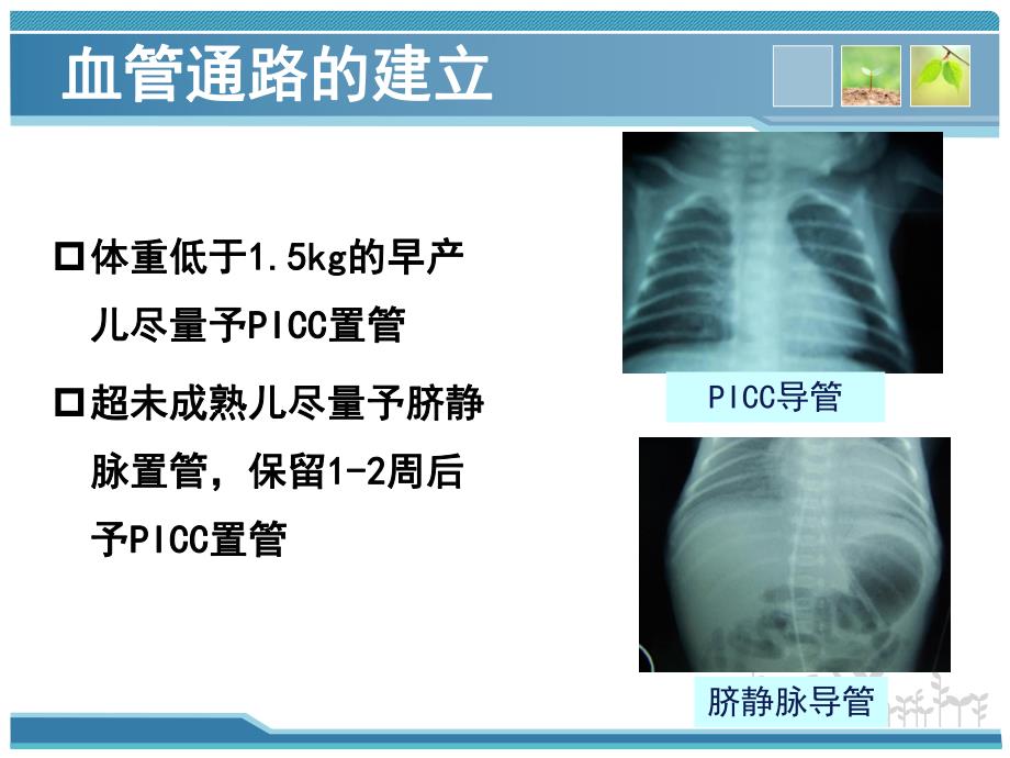 早产儿的早期护理.ppt_第3页