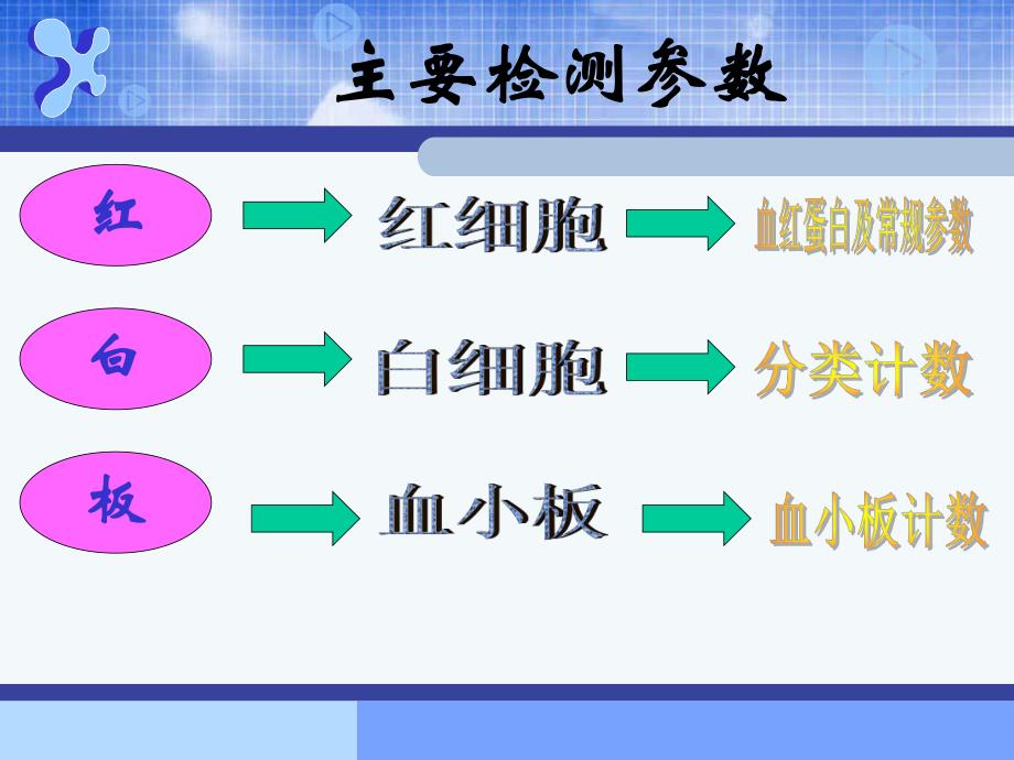 解读血常规.ppt_第3页