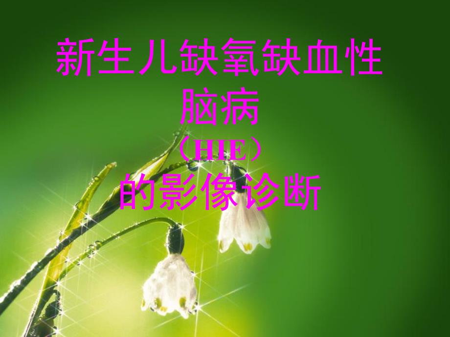 新生儿缺氧缺血性脑病的影像诊断.ppt_第1页