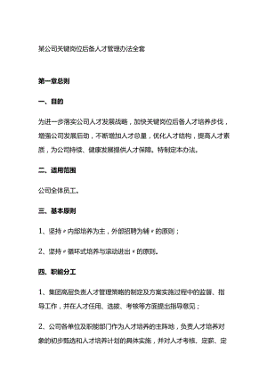 某公司关键岗位后备人才管理办法全套.docx