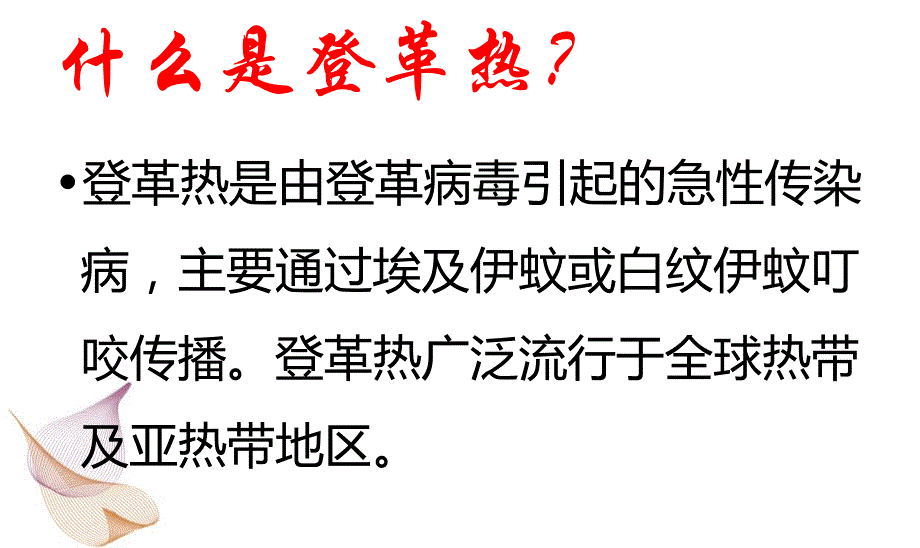 登革热防控知识培训.ppt_第2页