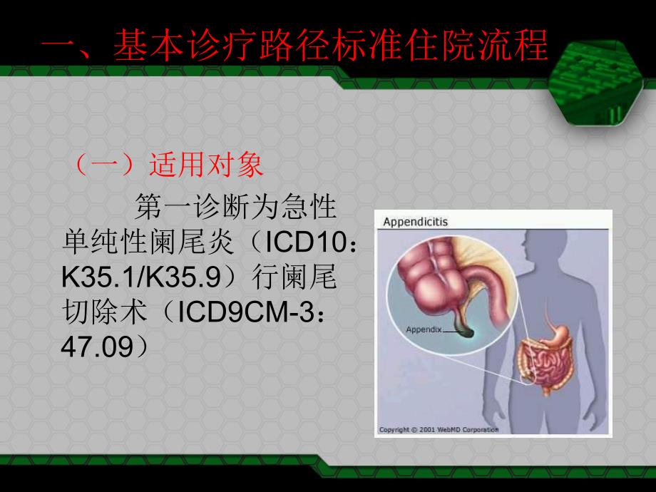 急性单纯性阑尾炎.ppt_第2页