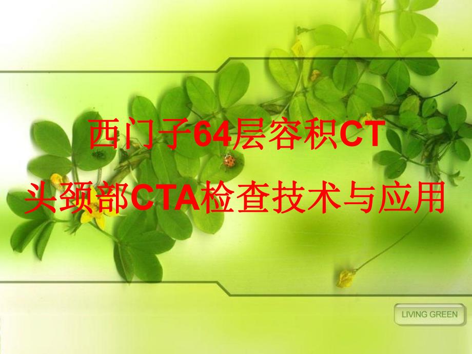 头颈部CTA.ppt_第1页