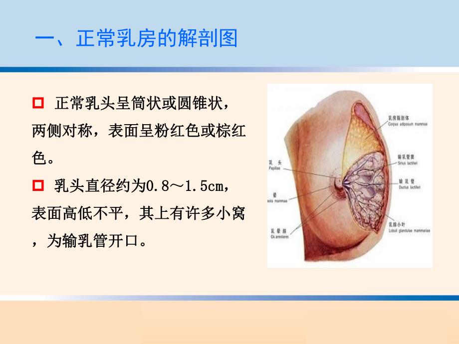 母乳喂养常见问题及临床干预.ppt_第3页