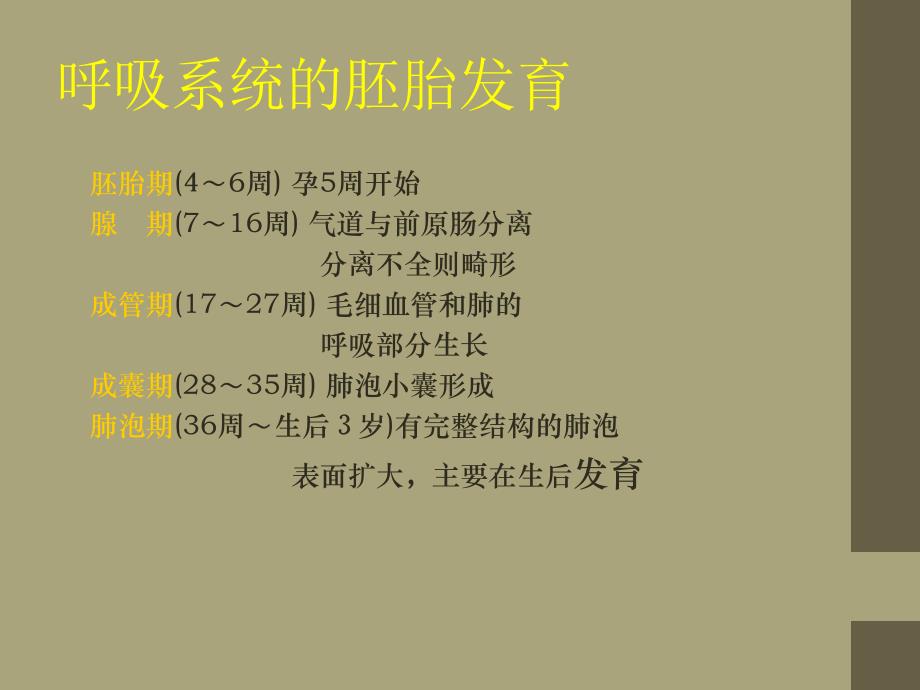 小儿肺炎.ppt_第3页