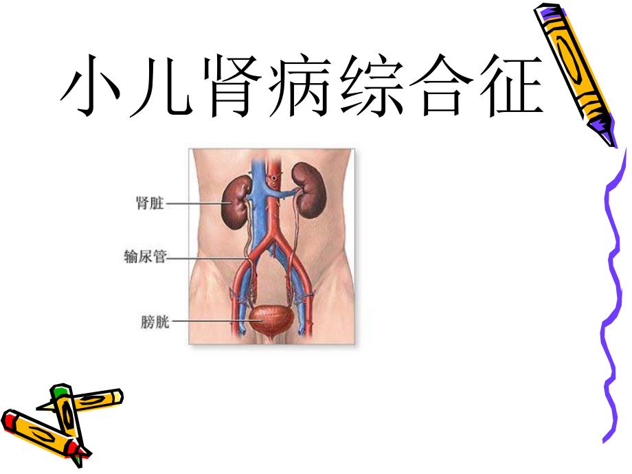 小儿肾病综合征.ppt_第1页