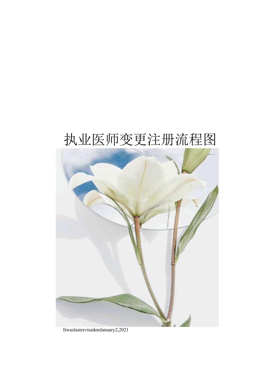 执业医师变更注册流程图.docx_第1页